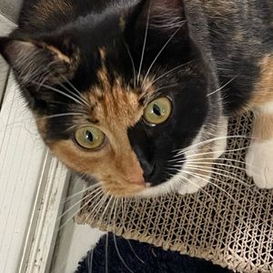 Meet your Posher, Carly